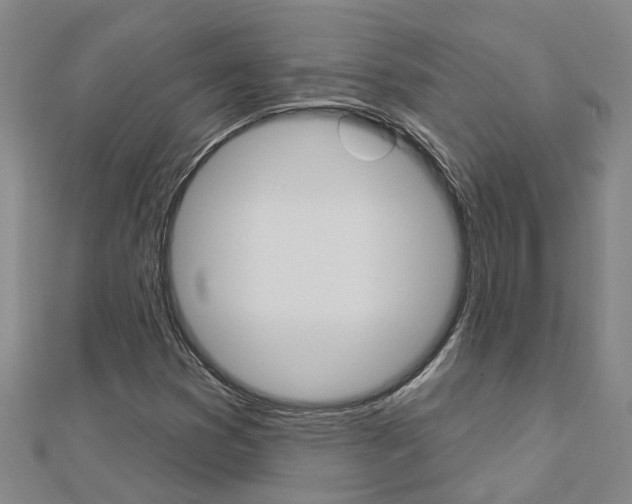 X0000112921353200908241022