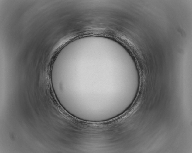 X0000112921354200908241022