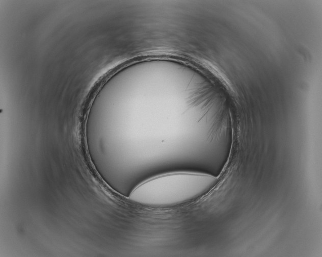 X0000112921356200908241022