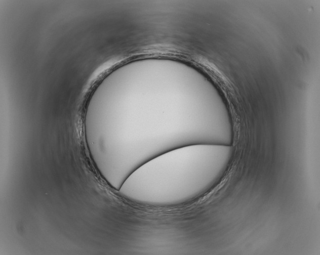 X0000112921358200908241022