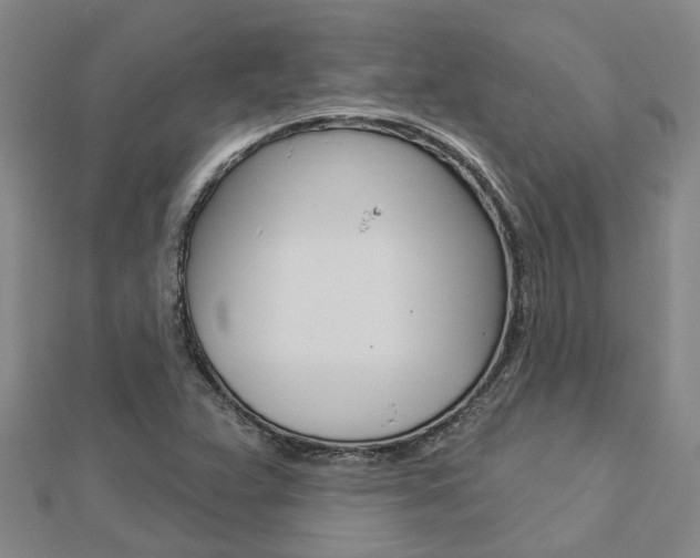 X0000112921359200908241022