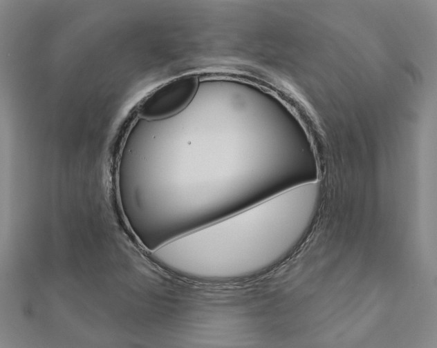 X0000112921360200908241022
