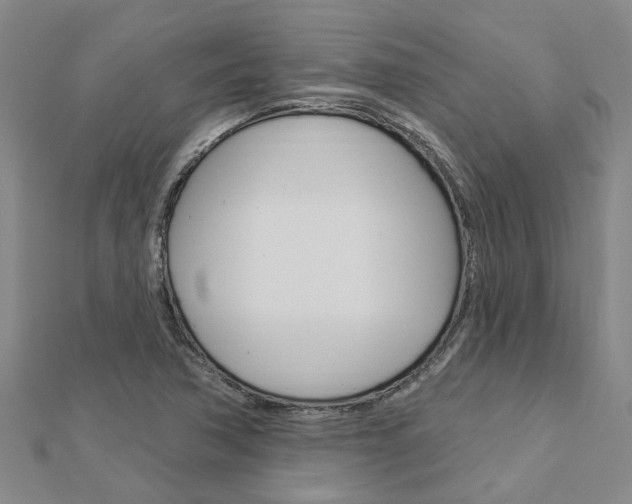 X0000112921362200908241022
