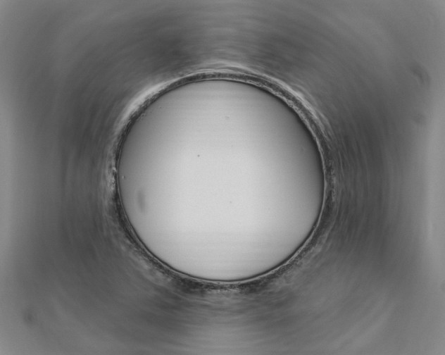 X0000112921363200908241022