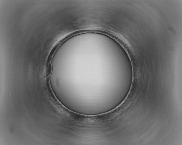 X0000112921364200908241022