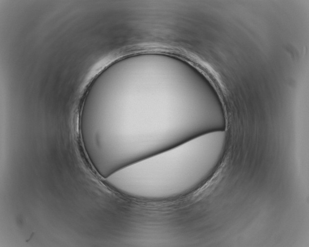 X0000112921365200908241022