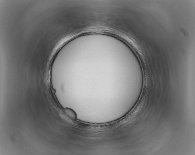 X0000112921366200908241022