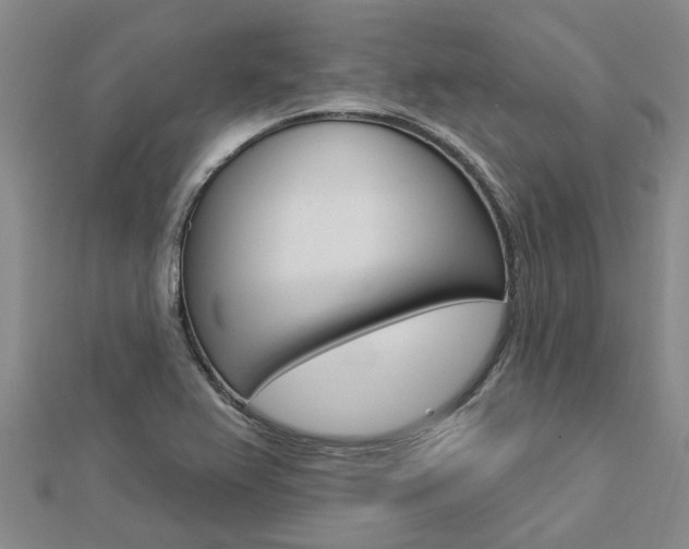 X0000112921367200908241022