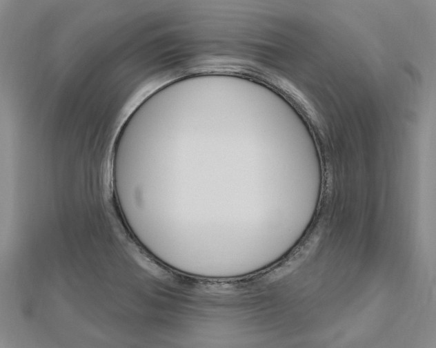 X0000112921370200908241022