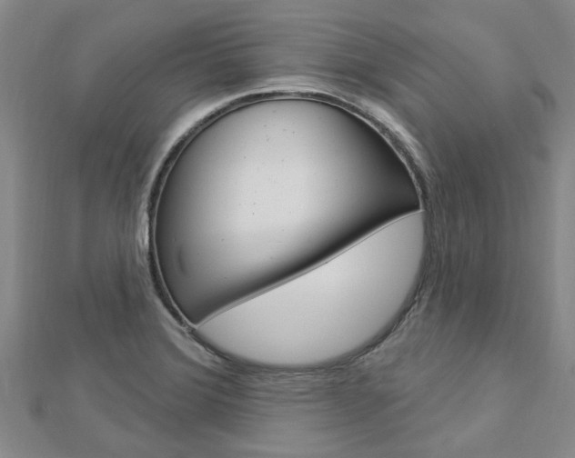 X0000112921372200908241022
