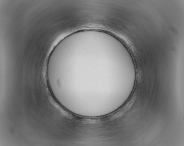 X0000112921374200908241022
