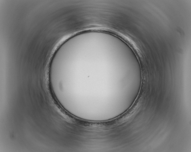X0000112921375200908241022