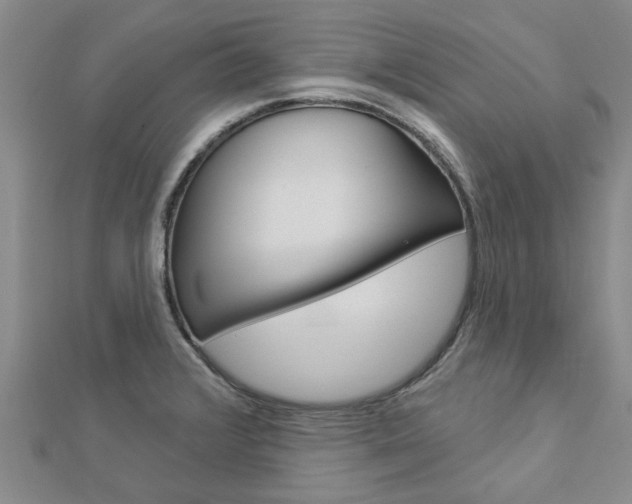 X0000112921376200908241022