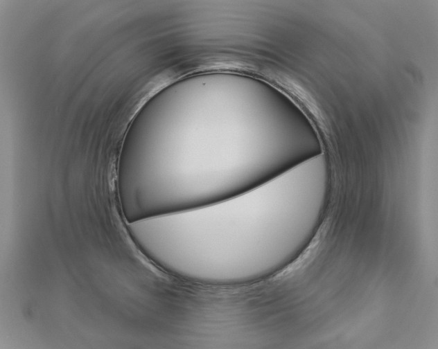 X0000112921377200908241022