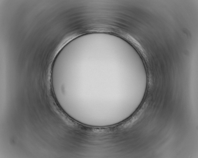 X0000112921378200908241022