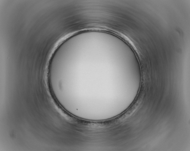 X0000112921379200908241022