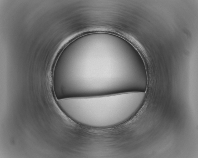X0000112921380200908241022