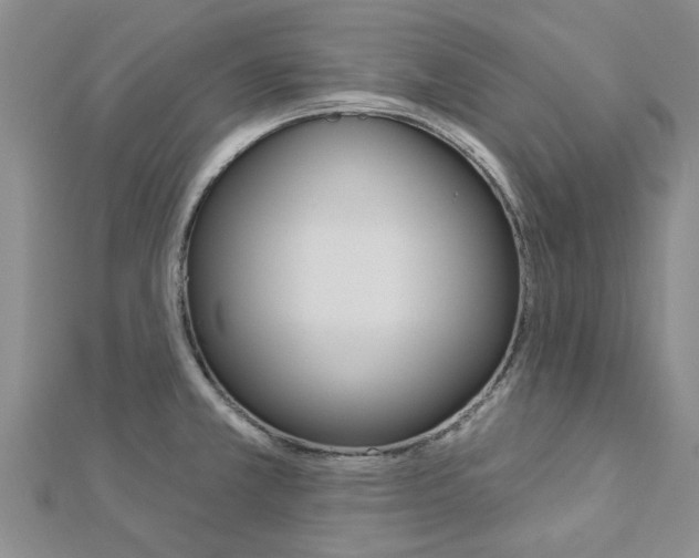X0000112921381200908241022