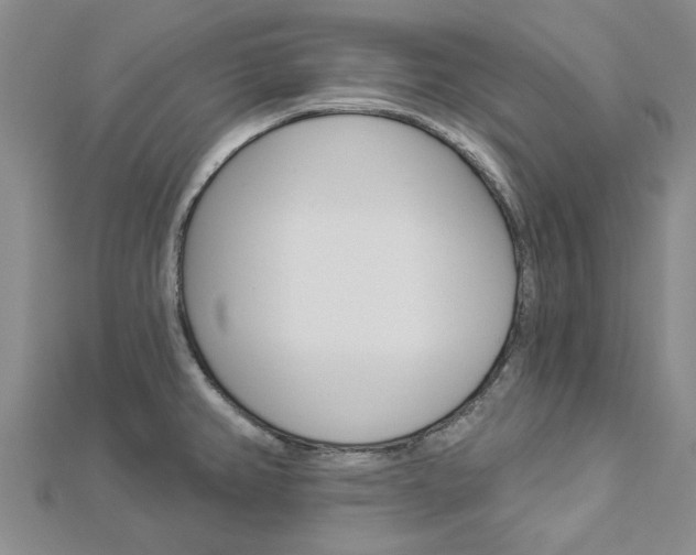 X0000112921382200908241022