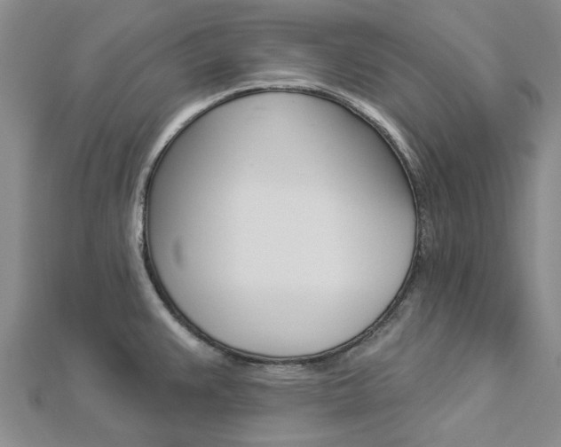X0000112921383200908241022