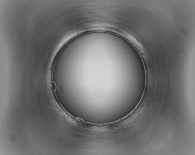 X0000112921384200908241022