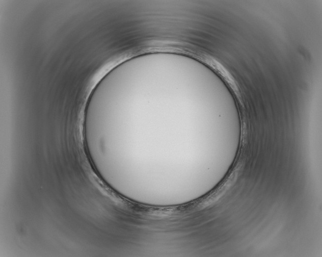 X0000112921386200908241021