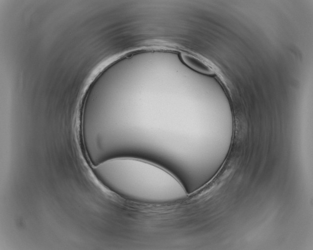 X0000112921387200908241021