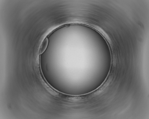 X0000112921388200908241021
