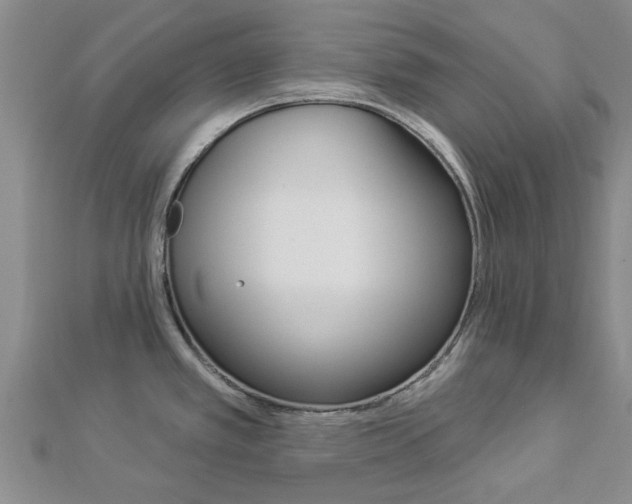 X0000112921389200908241021