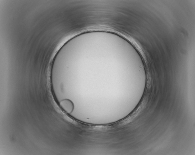 X0000112921390200908241021