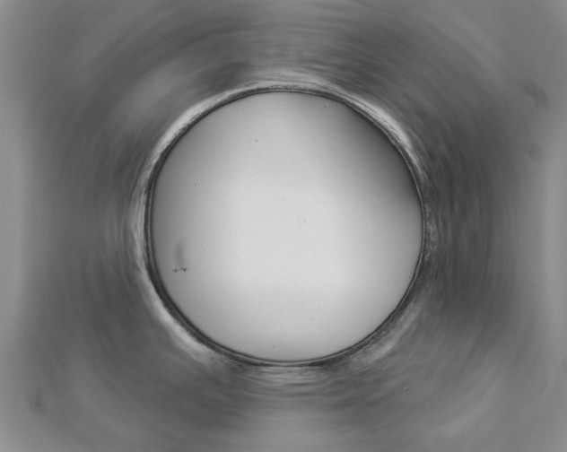 X0000112921391200908241021