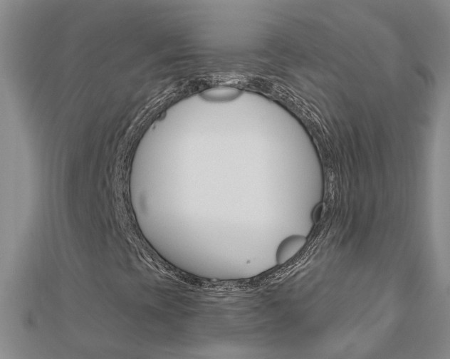 X0000112921393200908241021