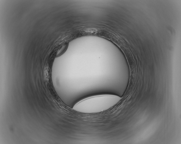 X0000112921394200908241021