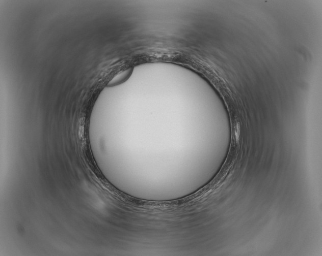 X0000112921396200908241021
