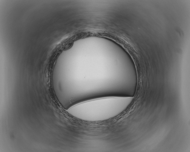 X0000112921398200908241021