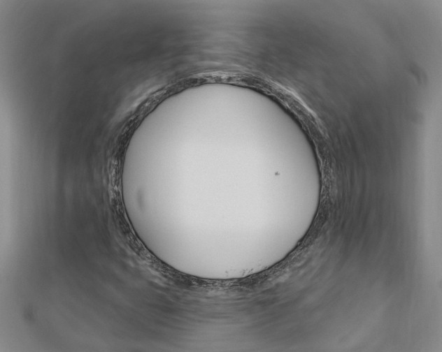 X0000112921399200908241021