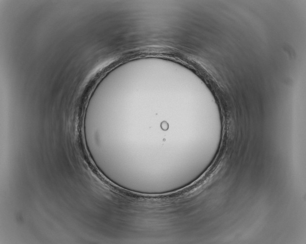 X0000112921402200908241021