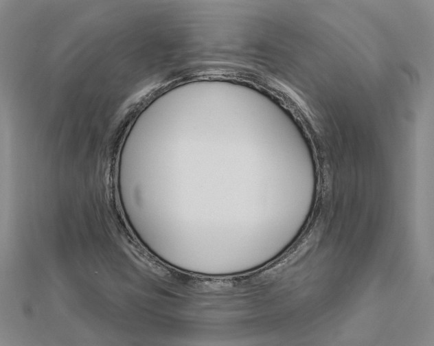 X0000112921403200908241021