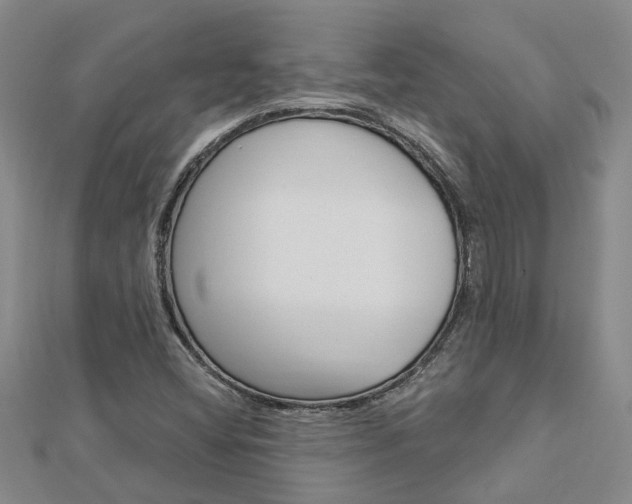 X0000112921404200908241021