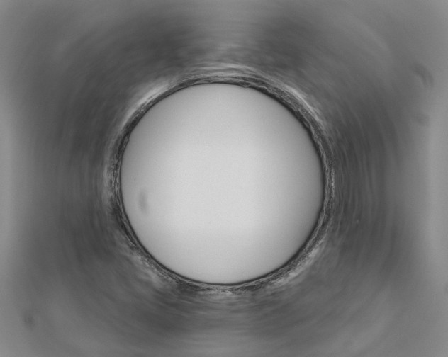X0000112921405200908241021