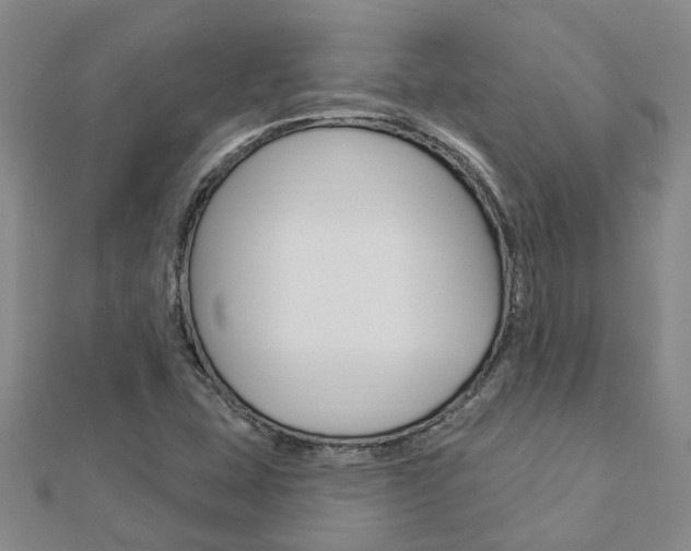 X0000112921407200908241021