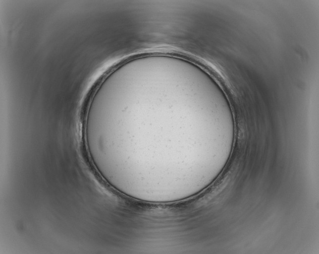 X0000112921414200908241021