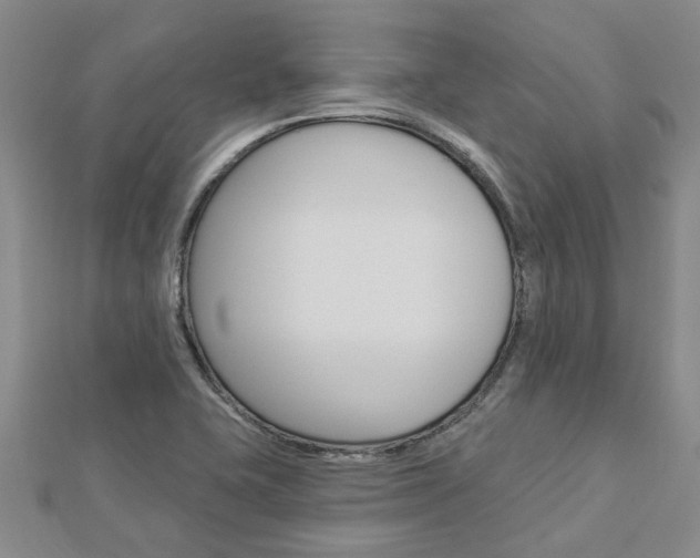 X0000112921415200908241021