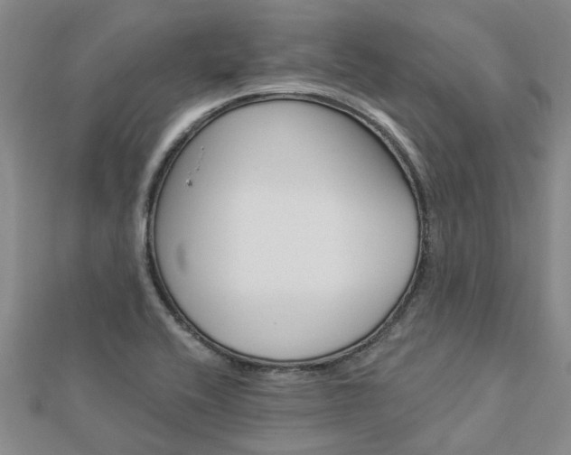 X0000112921416200908241021