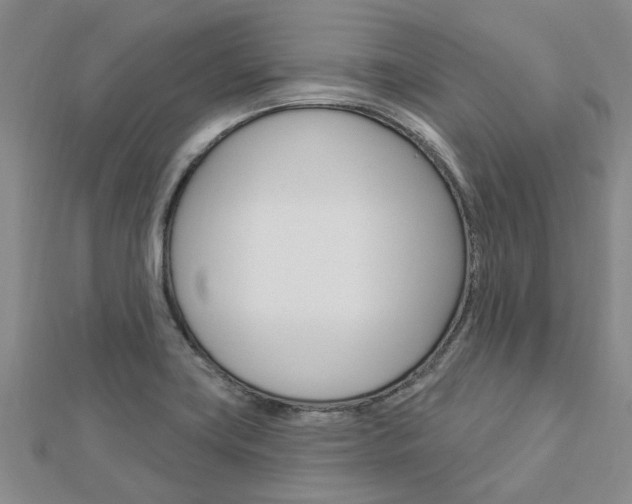 X0000112921419200908241021