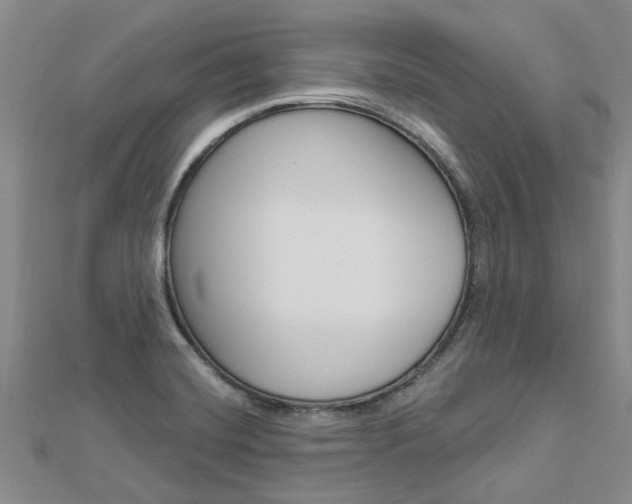 X0000112921420200908241021
