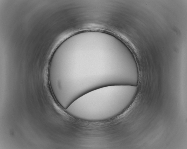 X0000112921421200908241021