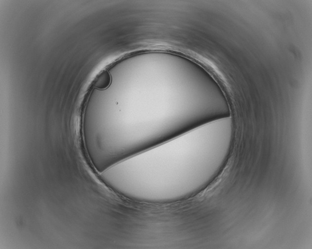X0000112921424200908241021