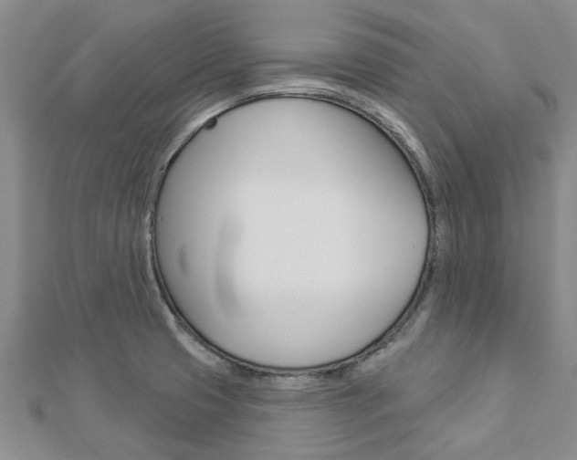 X0000112921425200908241021