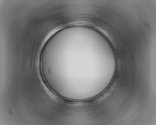 X0000112921426200908241021